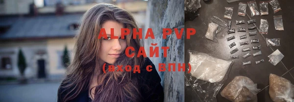 индика Саяногорск