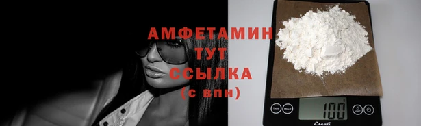 индика Саяногорск